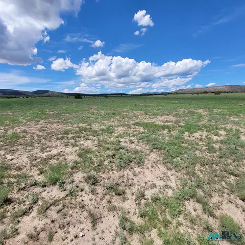 17 Frontier - Lot 17 Trl #17, Datil, NM 87821 photo 16
