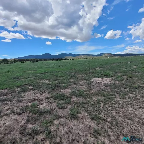 17 Frontier - Lot 17 Trl #17, Datil, NM 87821 photo 8