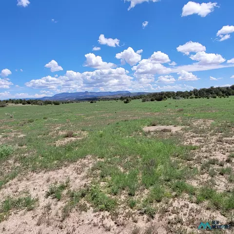 17 Frontier - Lot 17 Trl #17, Datil, NM 87821 photo 2