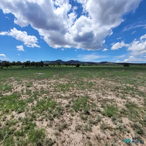 17 Frontier - Lot 17 Trl #17, Datil, NM 87821 photo 14