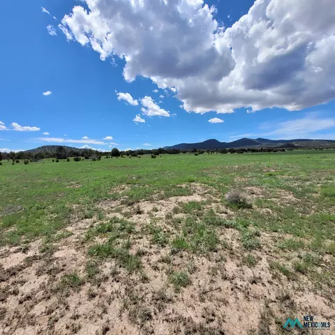 17 Frontier - Lot 17 Trl #17, Datil, NM 87821 photo 4