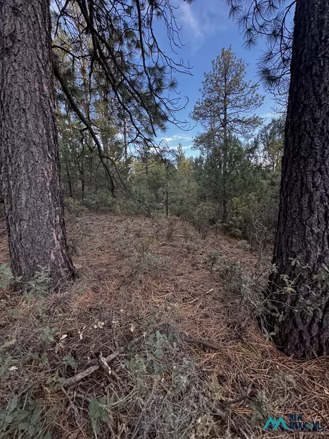 37 Huff Ave, Cloudcroft, NM 88350 photo 4