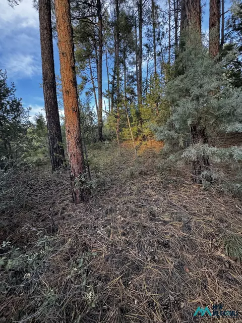 37 Huff Ave, Cloudcroft, NM 88350 photo 5