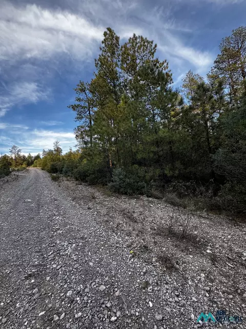 37 Huff Ave, Cloudcroft, NM 88350 photo 6