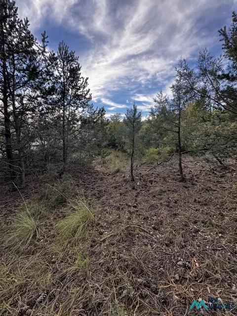 37 Huff Ave, Cloudcroft, NM 88350 photo 2