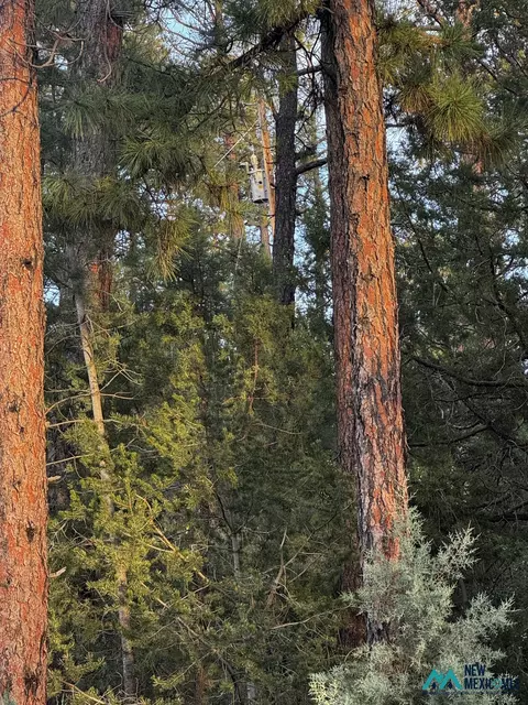37 Huff Ave, Cloudcroft, NM 88350 photo 7