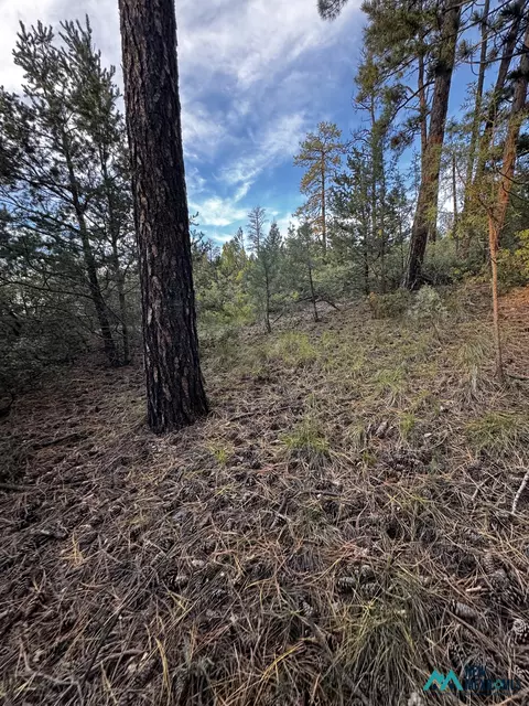37 Huff Ave, Cloudcroft, NM 88350 photo 3