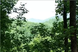 2 N Fork Rd, Sylva, NC 28779 photo 1