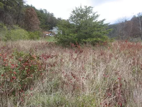732 S River Rd, Webster, NC 28788 photo 1