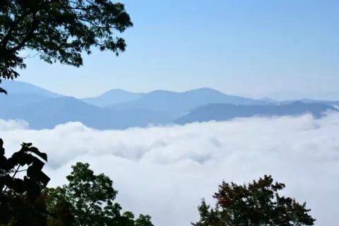 267 Orchard Ln, Sylva, NC 28779 photo 20