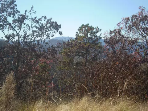 237 Hawks Shadow Trl, Sylva, NC 28779 photo 1