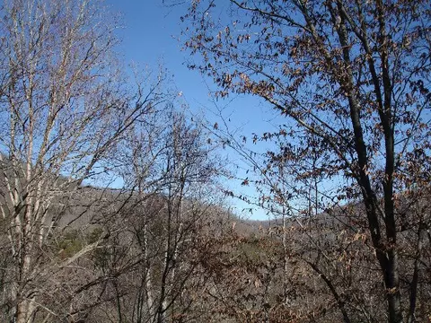 224 Sams Hl, Sylva, NC 28779 photo 13