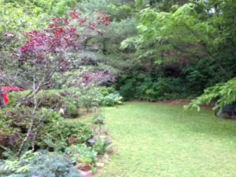 643 Savannah Dr, Sylva, NC 28779 photo 4