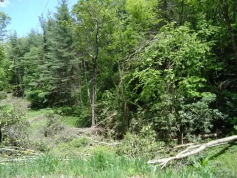 lot27 B Hampton Spgs, Glenville, NC 28736