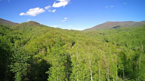 59 Woodfin Rd, Sylva, NC 28779 photo 7