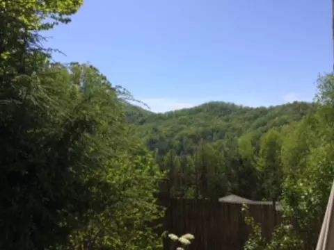 320 Leyla Ct, Sylva, NC 28779 photo 6