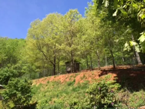 320 Leyla Ct, Sylva, NC 28779 photo 36