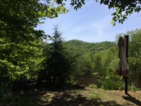 320 Leyla Ct, Sylva, NC 28779 photo 38
