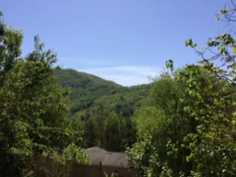 320 Leyla Ct, Sylva, NC 28779 photo 5