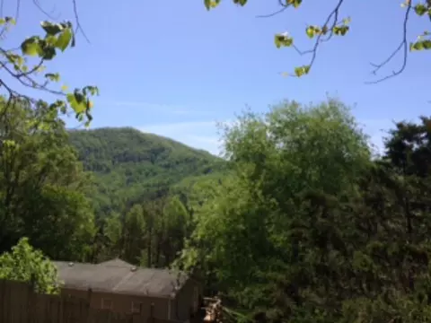 320 Leyla Ct, Sylva, NC 28779 photo 3