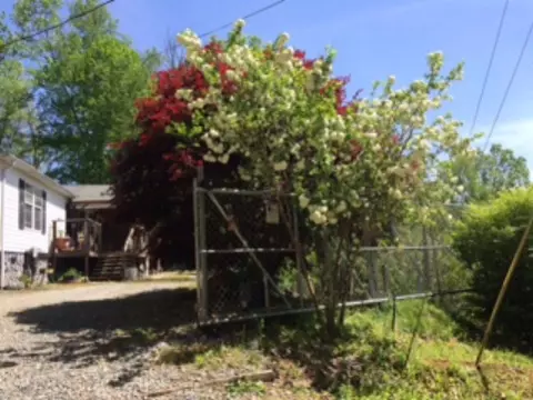320 Leyla Ct, Sylva, NC 28779 photo 40