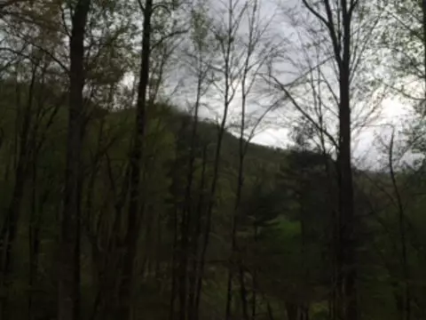 148 Knotty Oak Dr, Sylva, NC 28779 photo 2