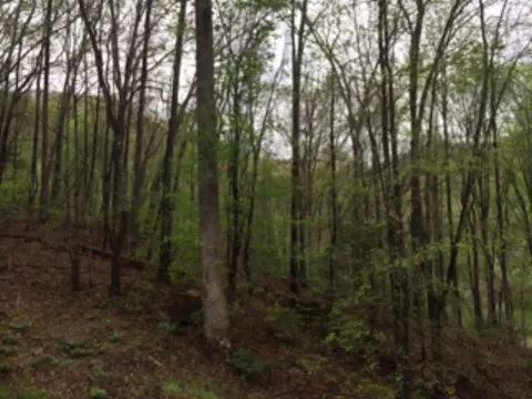 148 Knotty Oak Dr, Sylva, NC 28779 photo 13