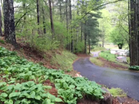 148 Knotty Oak Dr, Sylva, NC 28779 photo 17
