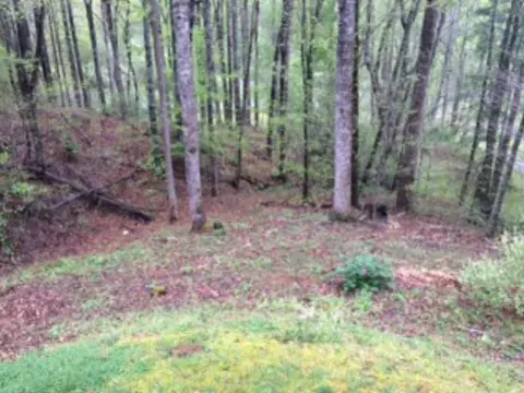 148 Knotty Oak Dr, Sylva, NC 28779 photo 12
