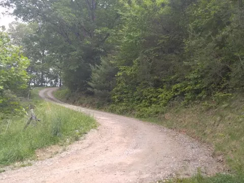 374 Roy Tritt Rd, Cullowhee, NC 28723 photo 3