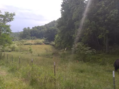 374 Roy Tritt Rd, Cullowhee, NC 28723 photo 8