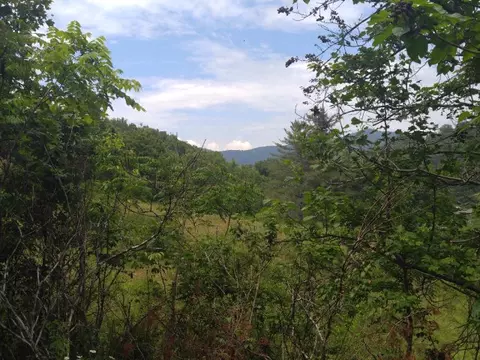 374 Roy Tritt Rd, Cullowhee, NC 28723 photo 4