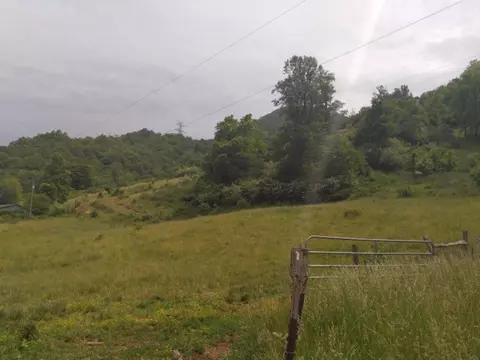 374 Roy Tritt Rd, Cullowhee, NC 28723 photo 5