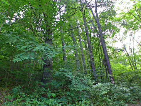 411 E Fork Rd, Sylva, NC 28779 photo 13