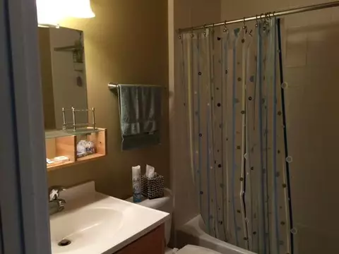 237 Blue Cedar, Sylva, NC 28779 photo 8