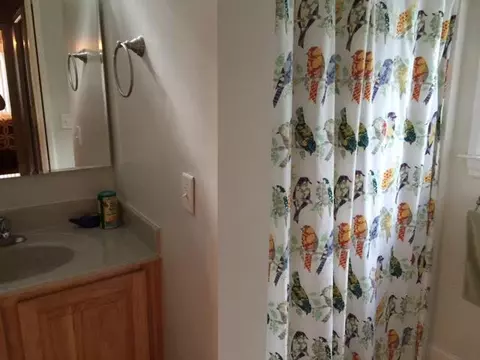 237 Blue Cedar, Sylva, NC 28779 photo 6