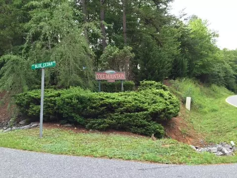 237 Blue Cedar, Sylva, NC 28779 photo 10