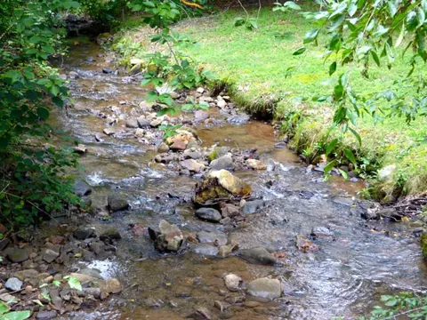 37 Jade Rd, Sylva, NC 28779 photo 8