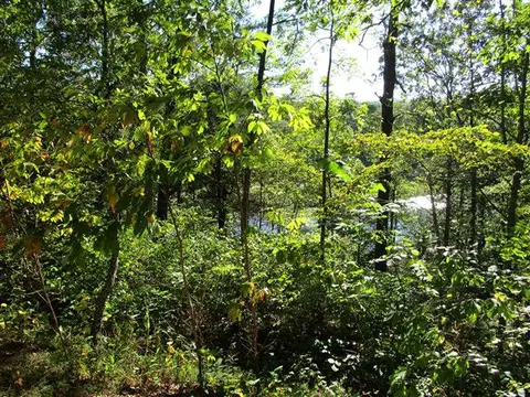 557 Clyde Downs Rd, Franklin, NC 28734 photo 26