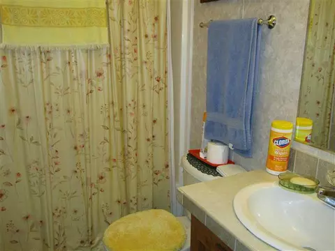 557 Clyde Downs Rd, Franklin, NC 28734 photo 9