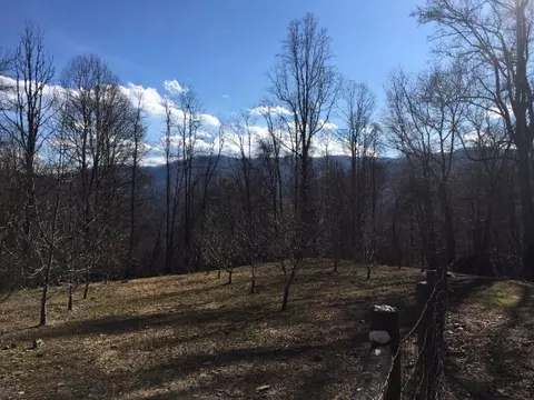 325 Falcon Hill Dr, Sylva, NC 28779 photo 3