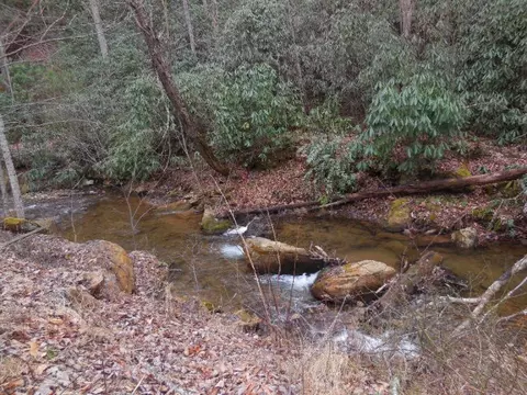 50 Lotus, Sylva, NC 28779 photo 7