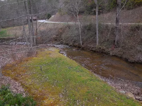 50 Lotus, Sylva, NC 28779 photo 12