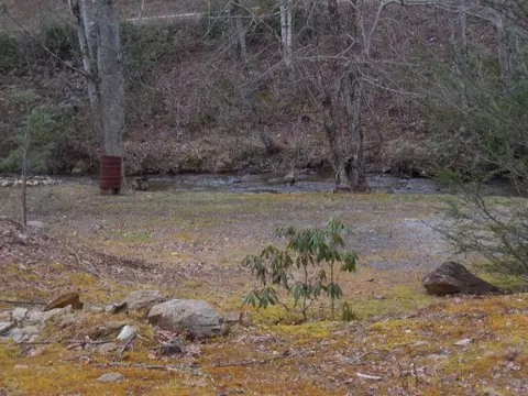 50 Lotus, Sylva, NC 28779 photo 6