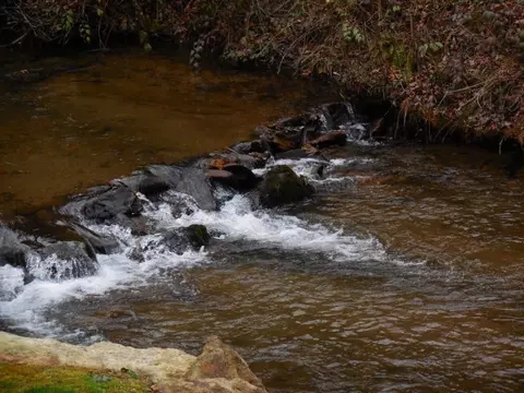 50 Lotus, Sylva, NC 28779 photo 14