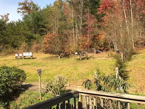 566 Frady Cove Rd, Sylva, NC 28779 photo 4