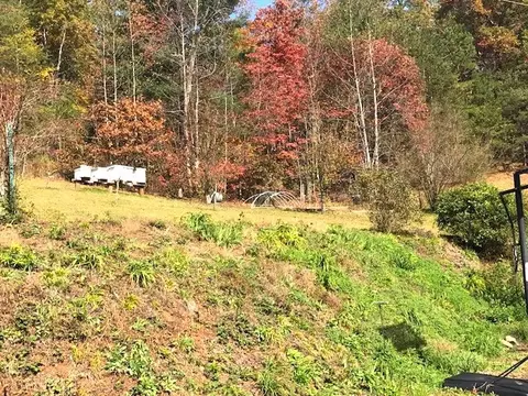 566 Frady Cove Rd, Sylva, NC 28779 photo 3