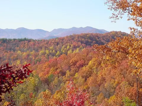 68 Hosta Dr, Sylva, NC 28779 photo 7
