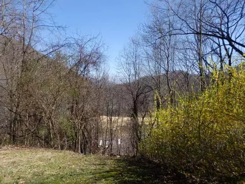 202 Redlands Pl, Sylva, NC 28779 photo 12