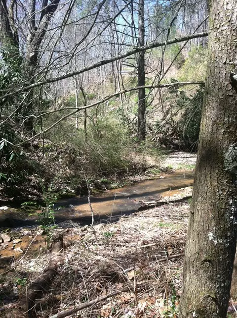 160 Claude Cook Rd, Sylva, NC 28779 photo 21